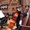 PYP Bass Section